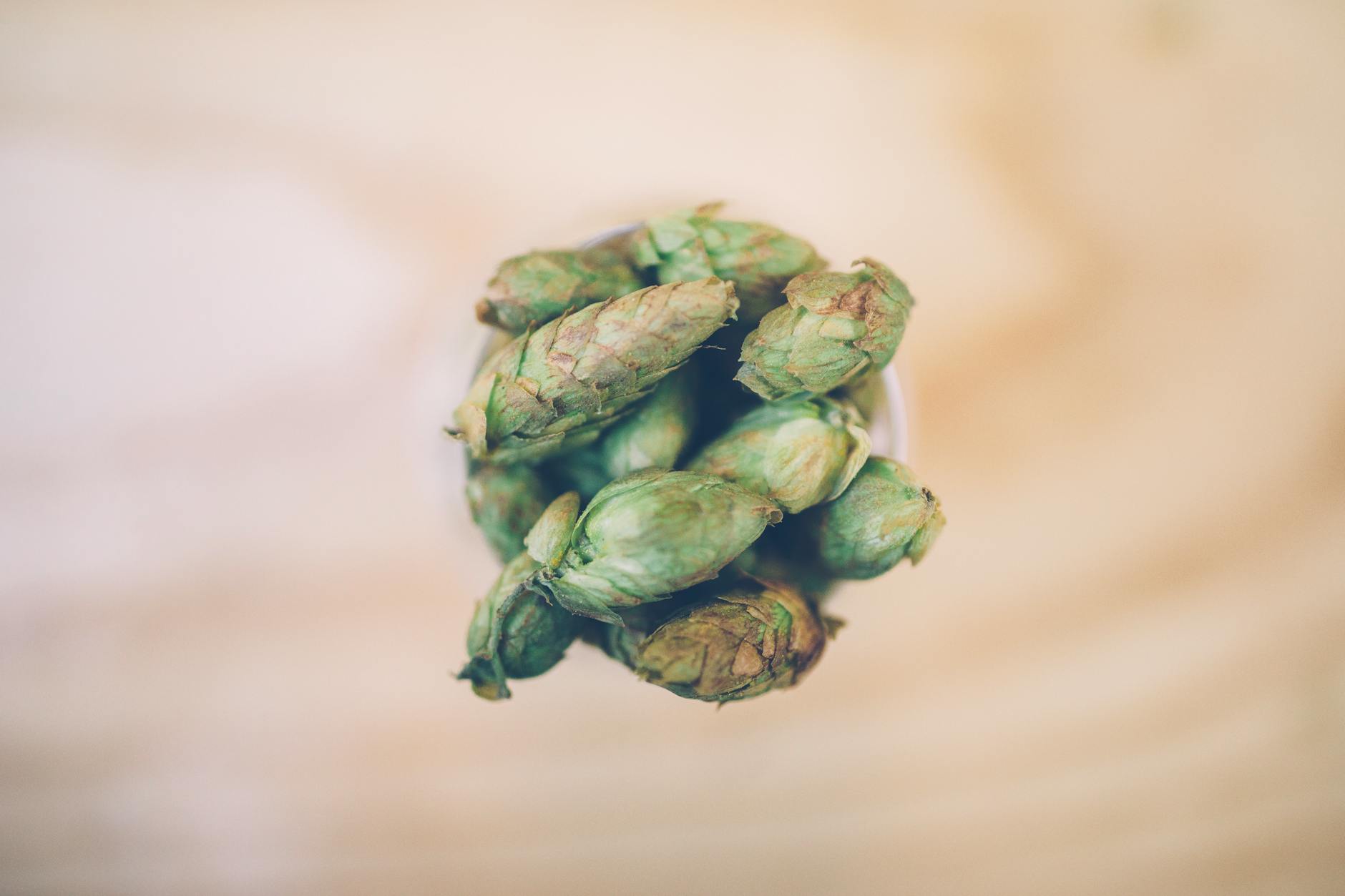 Szyszki zielonego chmielu w filiżance na drewnianym blacie